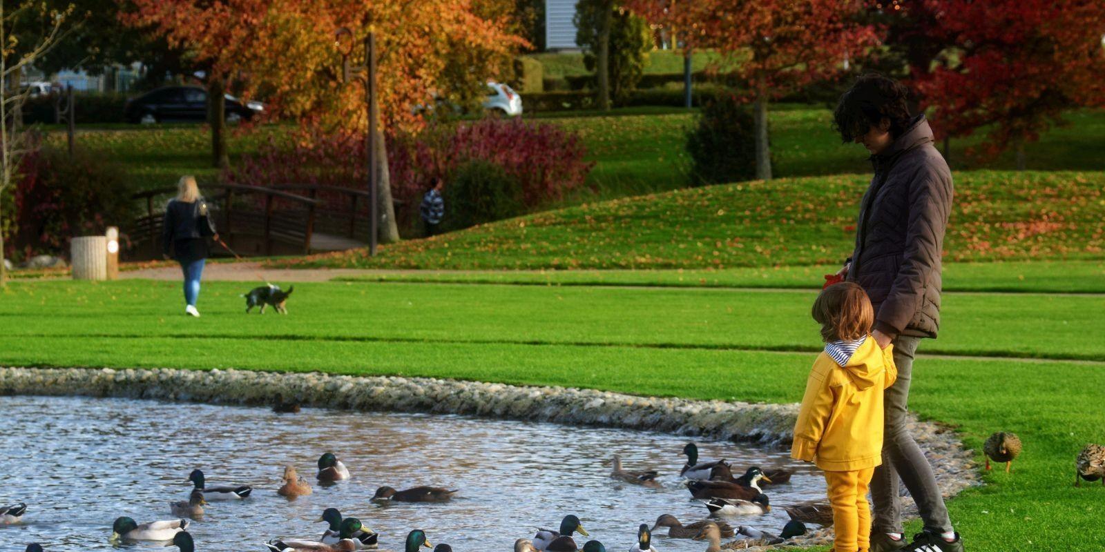 Cómo crear un ambiente de aprendizaje positivo en casa para tus hijos en Winter Garden